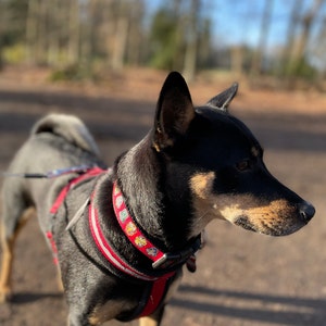 Etsy-koper heeft een foto van zijn/haar aankoop toegevoegd