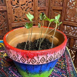 V added a photo of their purchase