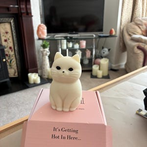 Kathryn added a photo of their purchase