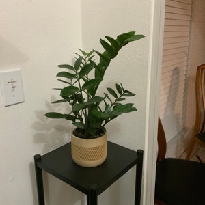 Susan added a photo of their purchase