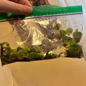 Itzel added a photo of their purchase