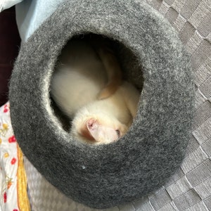 Maria added a photo of their purchase