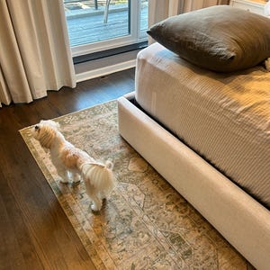 Kara ha añadido una foto de su compra