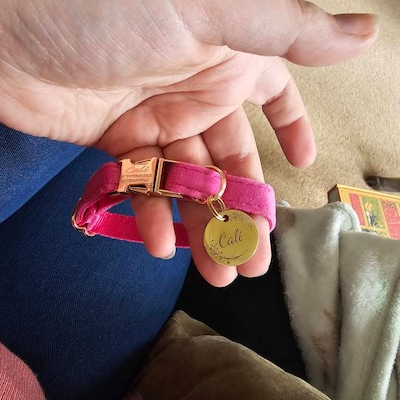 Sand - Velvet Dog Harness