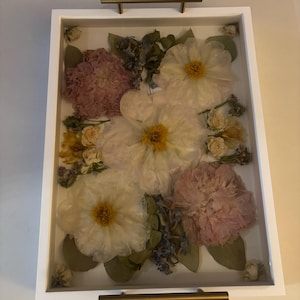 Kara added a photo of their purchase