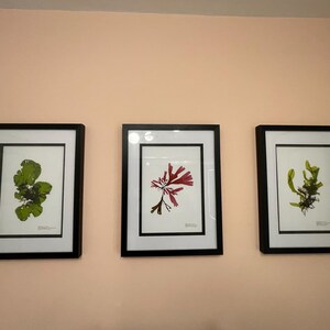 Julie added a photo of their purchase