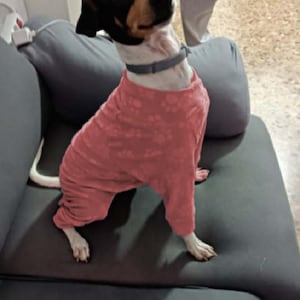 K added a photo of their purchase