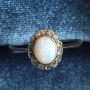 Anita added a photo of their purchase