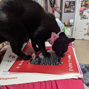 Kairi added a photo of their purchase