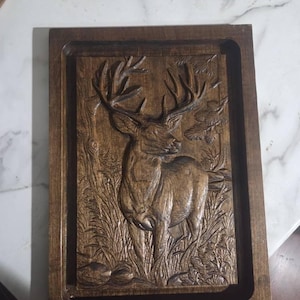 Warren added a photo of their purchase