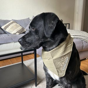 Jill added a photo of their purchase