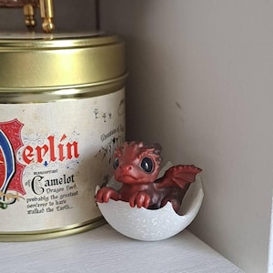 Shira added a photo of their purchase