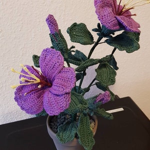 Stefanie added a photo of their purchase