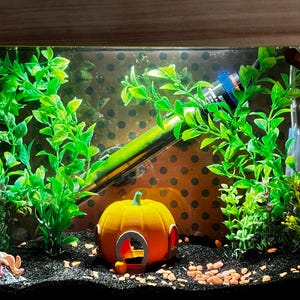 Diana added a photo of their purchase