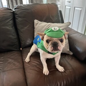 ルイージ犬コスチューム：フランネルマリオカートハロウィン衣装