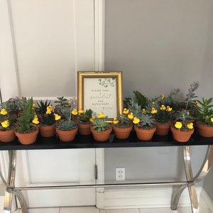 Tammy added a photo of their purchase