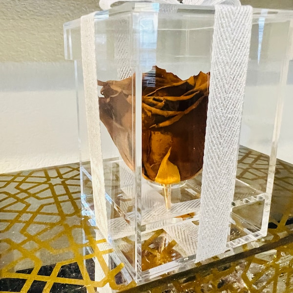 Preserved Rose Six Packs in Size L, Make Your Own Centerpieces and ...