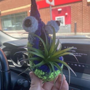 Ilish added a photo of their purchase