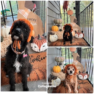 Audie added a photo of their purchase