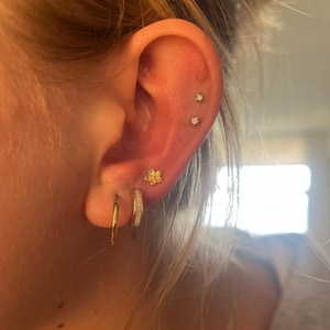 Lauren added a photo of their purchase