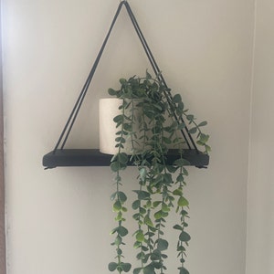 Allison さんが購入した商品の写真を追加しました