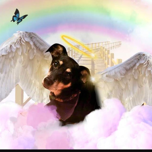 Custom Rainbow Bridge Pet Memorial Photo - Etsy