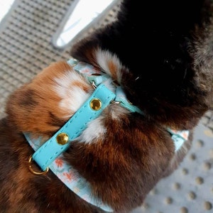 M added a photo of their purchase