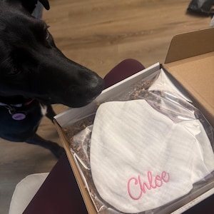 Allie added a photo of their purchase