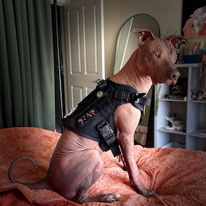Saedy ha añadido una foto de su compra