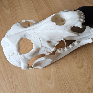 Alexander added a photo of their purchase