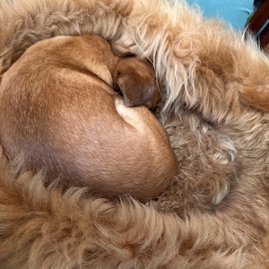 j added a photo of their purchase