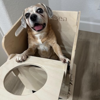 vmnava82 image