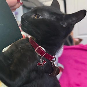 Maddie ha añadido una foto de su compra