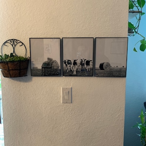 Dani added a photo of their purchase