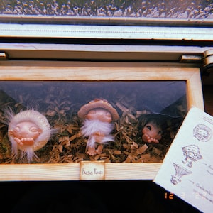 Matthew added a photo of their purchase