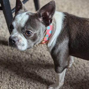 Kodie added a photo of their purchase