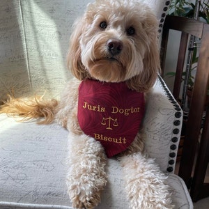 Dog Bandana Brown Louis Vuitton Inspired for Sale – Sister Sue's Closet