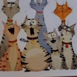 Kim added a photo of their purchase