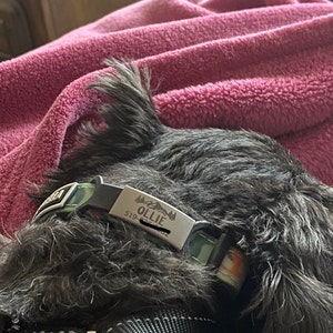 M added a photo of their purchase