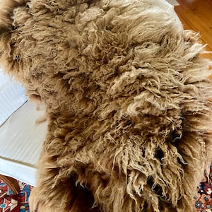 faith added a photo of their purchase