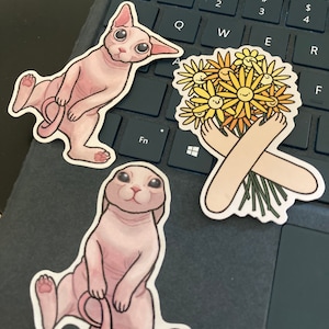 Bingus Naked Cat / Sphynx / Hairless Cat / Kitty - Etsy Israel