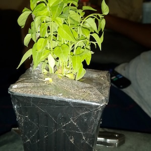 Ebony added a photo of their purchase