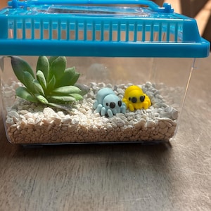 Dora added a photo of their purchase