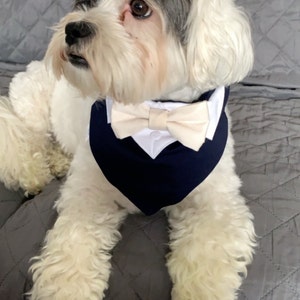 Kerry ha añadido una foto de su compra