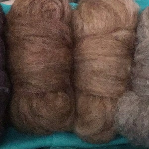 Judith added a photo of their purchase