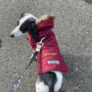 barkley & finn dog jacket