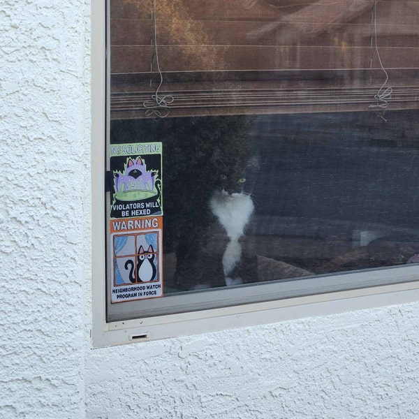 No Soliciting Witchy Cat Sign Window Cling Black Cat (violators Will Be ...