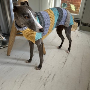 Dog Sweater Knitting Pattern PDF Instant Download Great for Whippet Greyhound Italian Greyhound Etsy