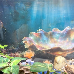 Kim heeft een foto van zijn/haar aankoop toegevoegd