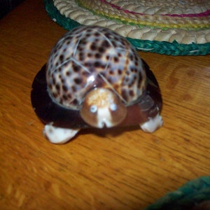Sueann added a photo of their purchase